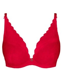 Aubade Rosessence Plunge Bra - Gala -Boosted Bras Sales Store braforme aubade hk81 gal c