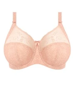 ELOMI Morgan Printed Full Cup Bra - Cameo Rose 9 ELOMI Morgan Printed Full Cup Bra - Cameo Rose -Boosted Bras Sales Store braforme bra elomi morgan 4110 cro plain