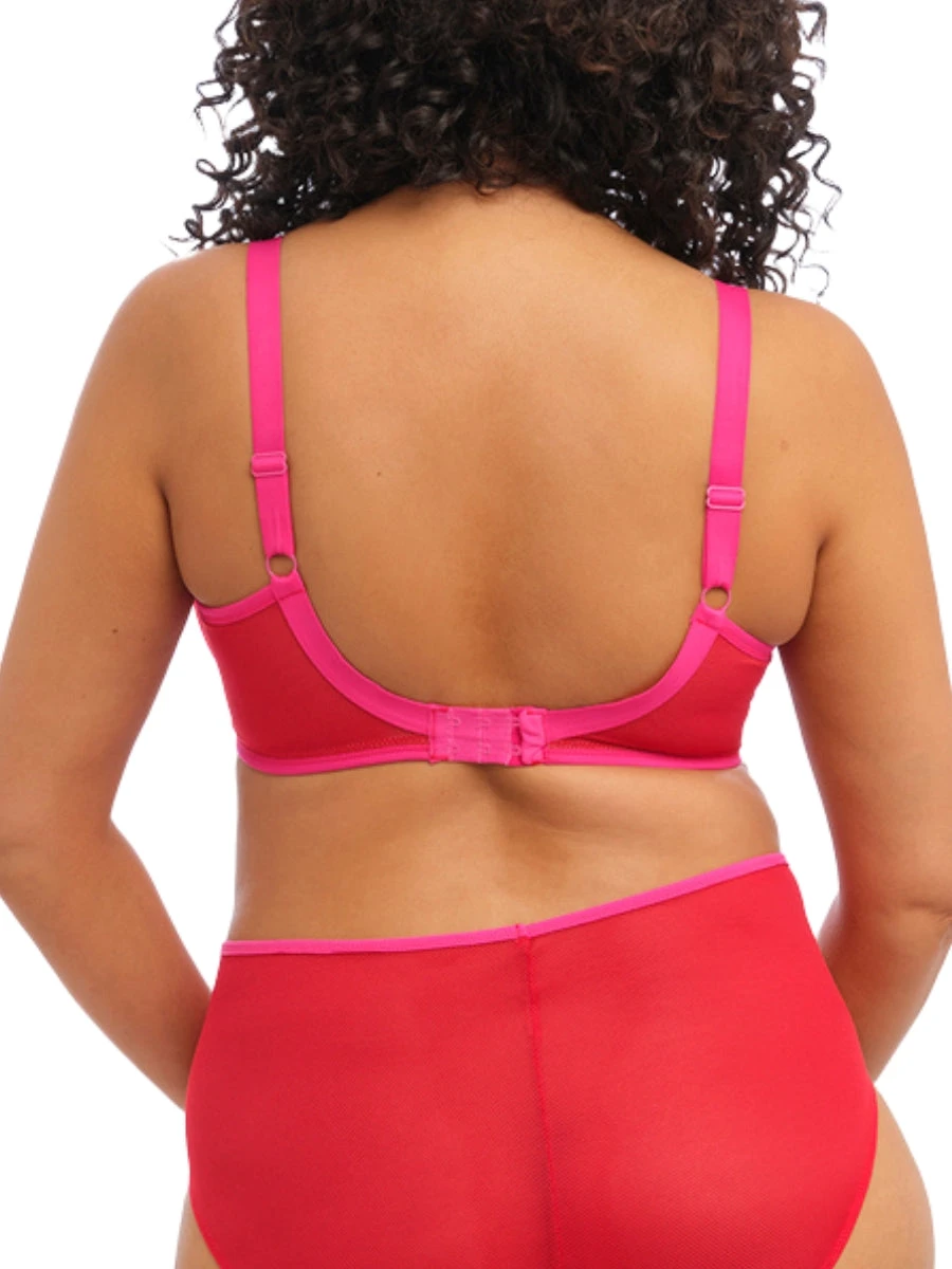ELOMI Kintai Underwired Plunge Bra - Cha Cha 4 ELOMI Kintai Underwired Plunge Bra - Cha Cha - Image 4
