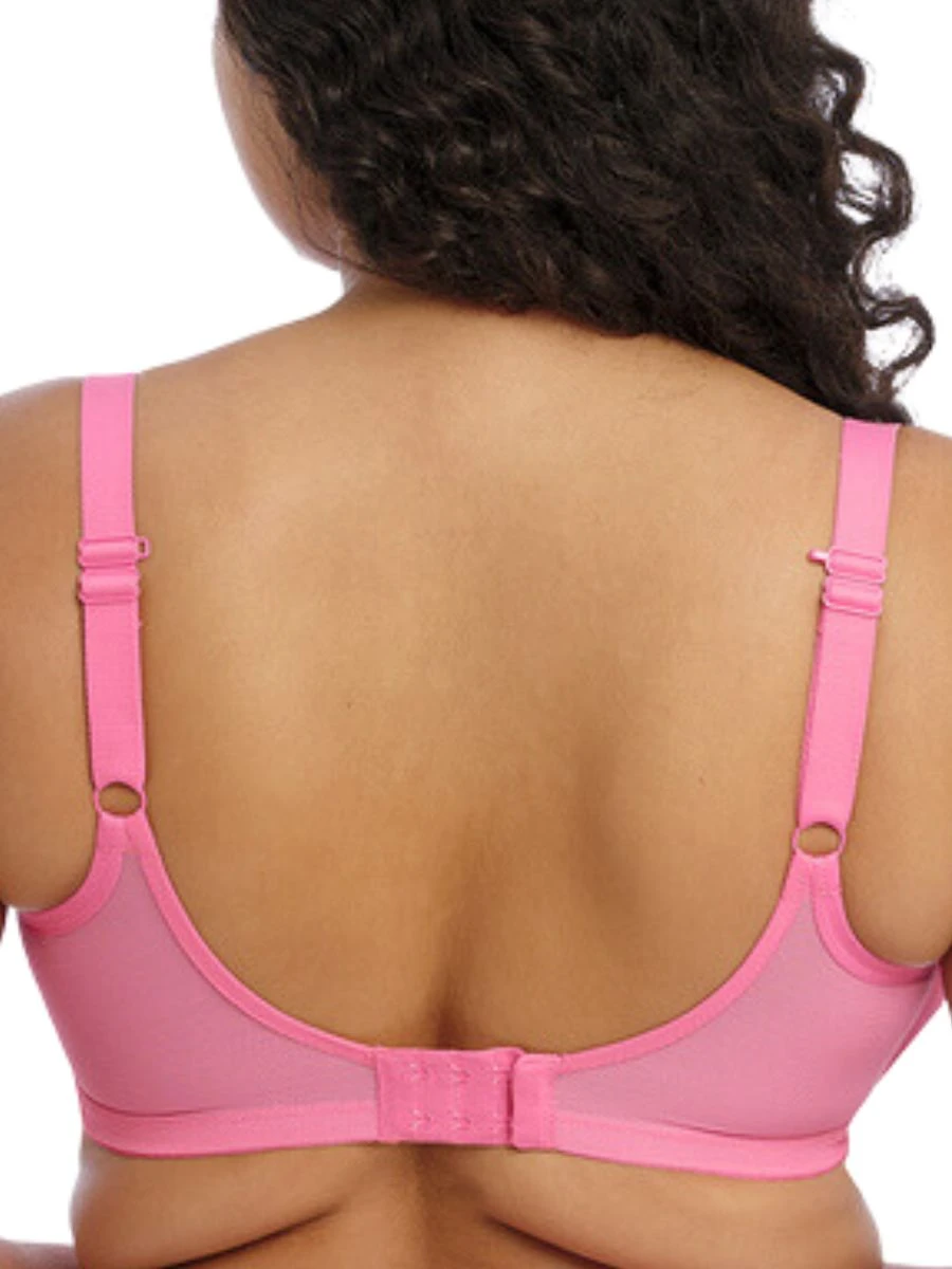 ELOMI Matilda Plunge Bra - Wild Cherry 4 ELOMI Matilda Plunge Bra - Wild Cherry - Image 4